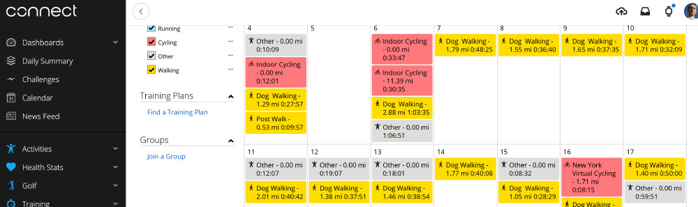 Importing from Apple Watch to Garmin Connect