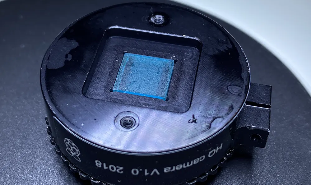 Fungus on the IR filter 