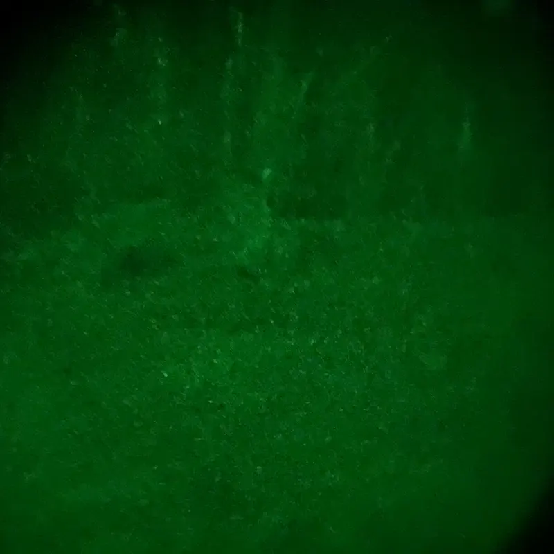 Outdoor in woodland with the LED 