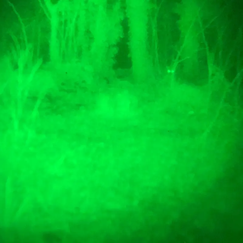 Outdoor in woodland with the LED on