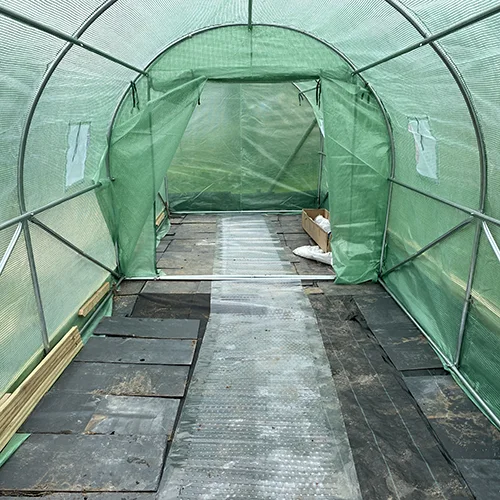 Inside the first polytunnel