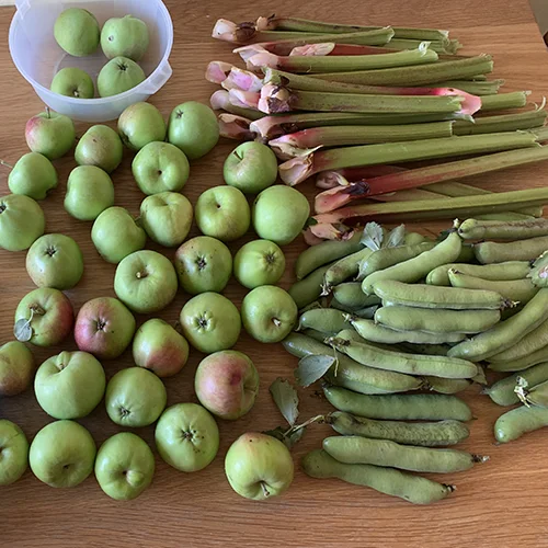 Summer crop of produce