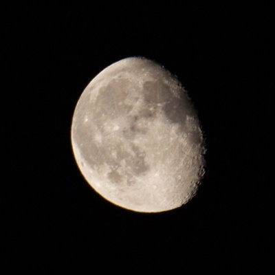 Waning Gibbous Moon #113