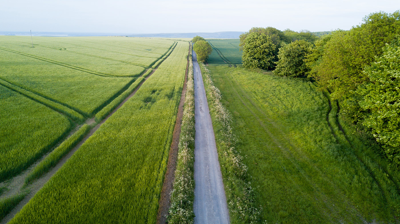 Photo of coloured lines