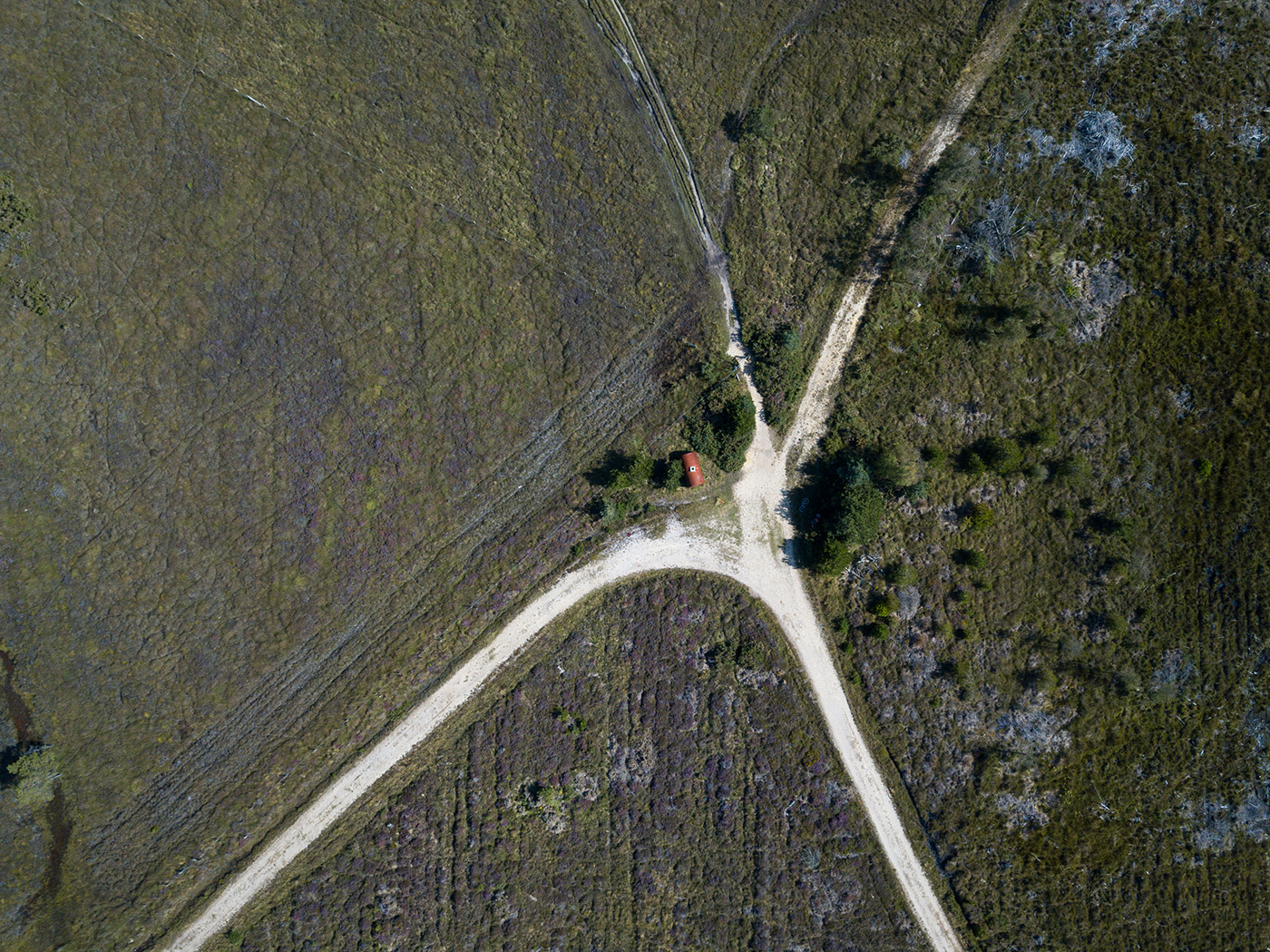 Photo of franks tank