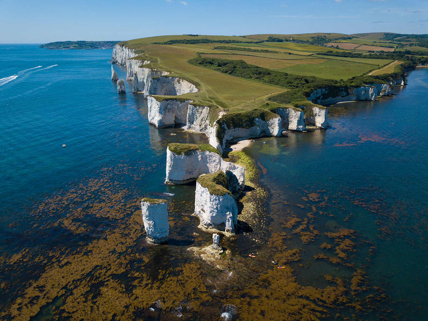 Photo of The Foreland and Old Harry