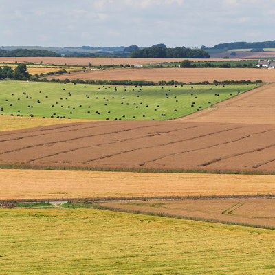 Triangles and lines #183