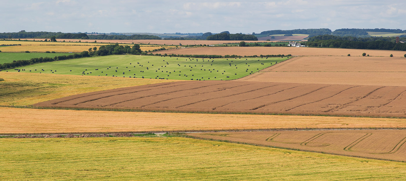 Photo of Triangles and lines