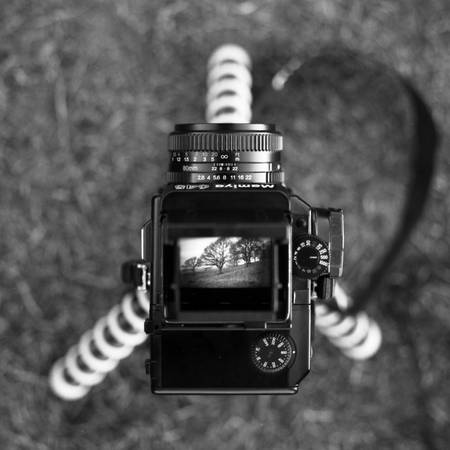 Photo of mamiya 645 viewfinder