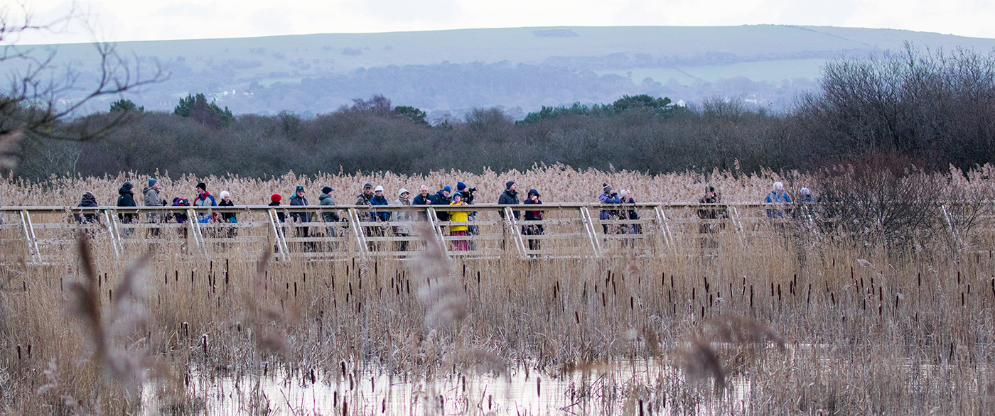 Photo of birdwatchers in a row