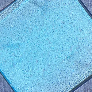 Raspberry Pi High Quality Camera Fungus image quality problems Photo