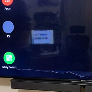 Sony Bravia 55XE90 KD-55XE9005 Teardown VR Damage Photo